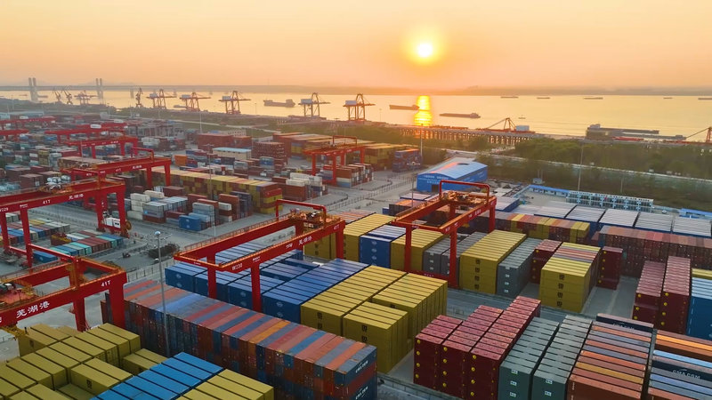 How to Obtain Customs Transaction Data: A Complete Guide for Global Trade Analysis